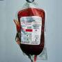 Donazione sangue a Santa Maria delle Mole. 19 giugno 2011
