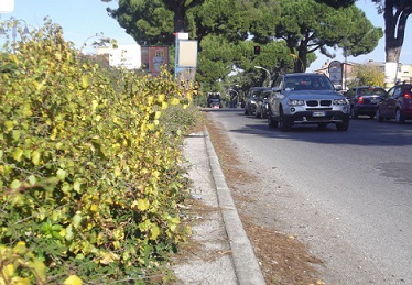 Nessuna attenzione per i cittadini di Frattocchie che si organizzano